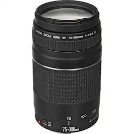 Canon - EF 75-300mm f/4-5.6 III USM Lens