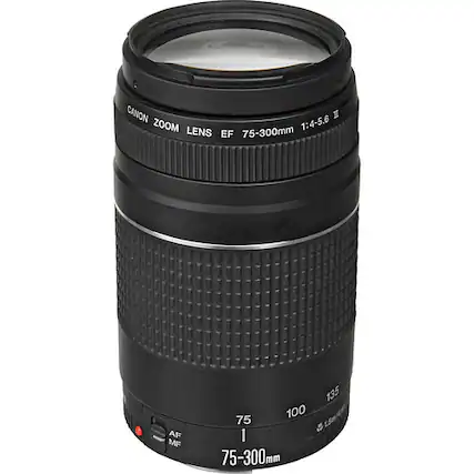 CANON ZOOM LENS EF 75-300mm 1:4-5.6
75-300mm
AF MF
135 100 75