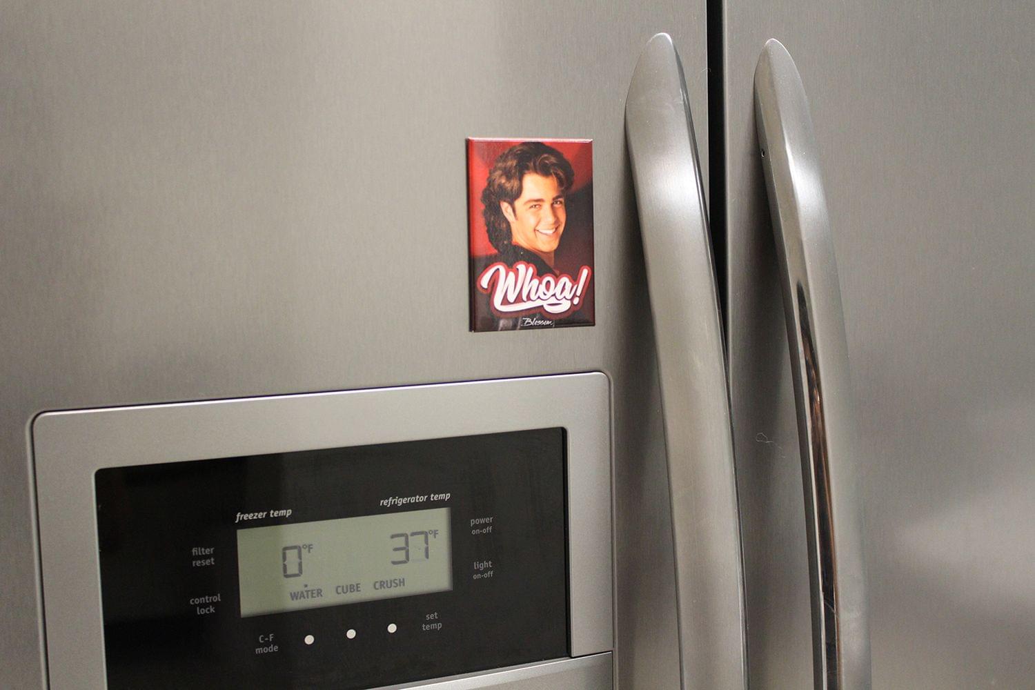 Whoo! Blesan refrigerator temp freezer temp oF filter reset 0% oF TE CUBE CRUSH control WATER lock set temp C-F d mode power on-off light on-off