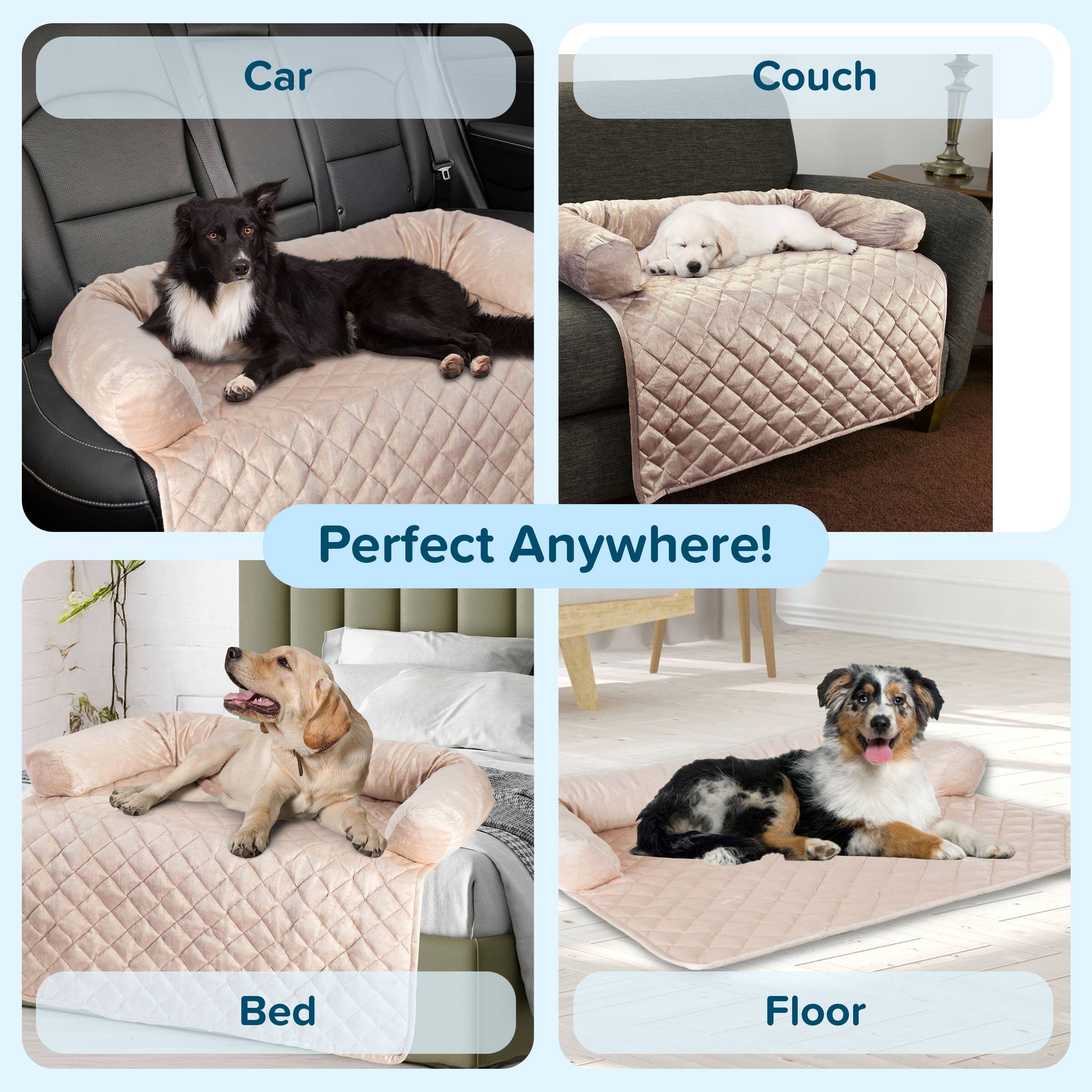 Car  
Couch  
Perfect Anywhere!  
Bed  
Floor
