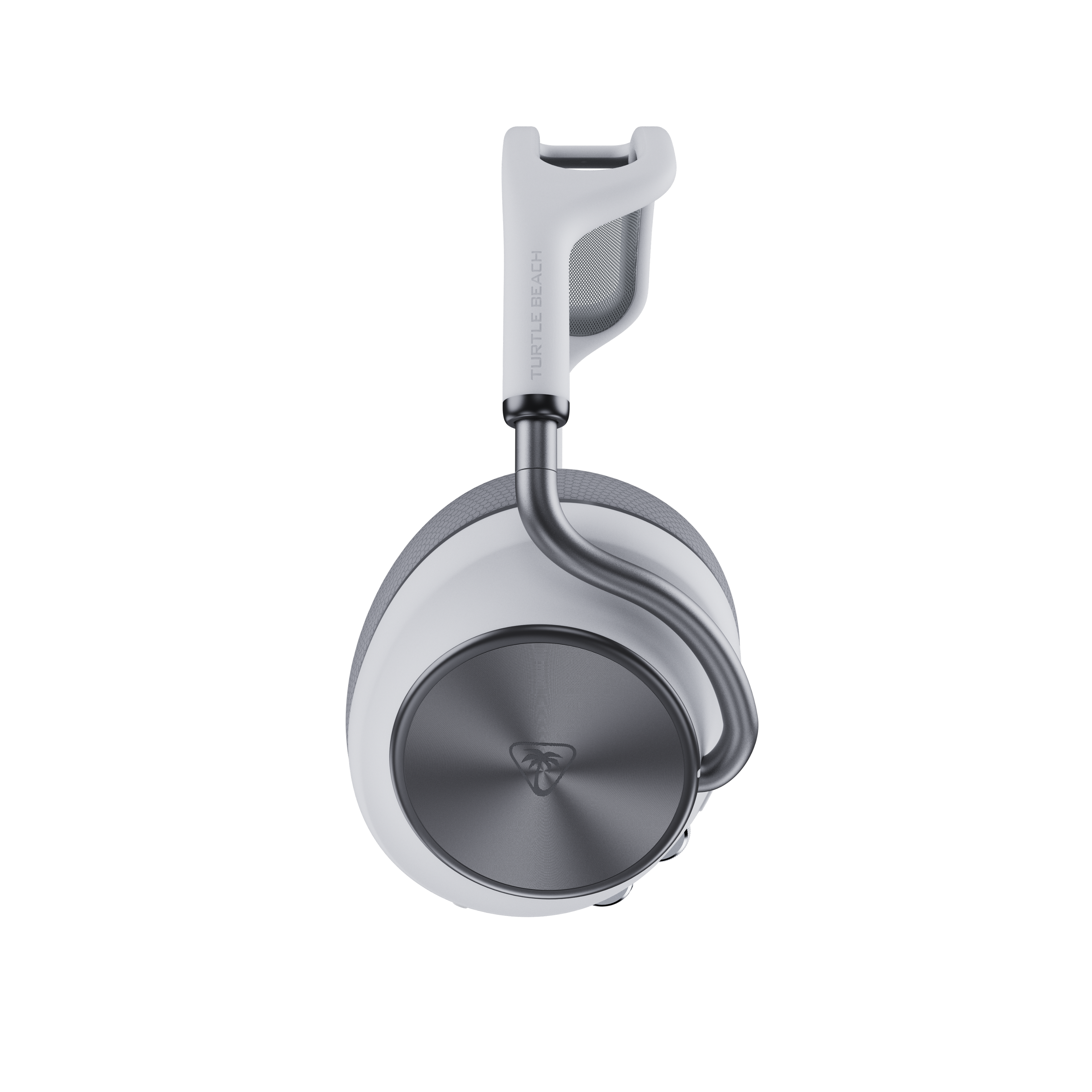 BEACH TURTLE

TURTLE BEACH