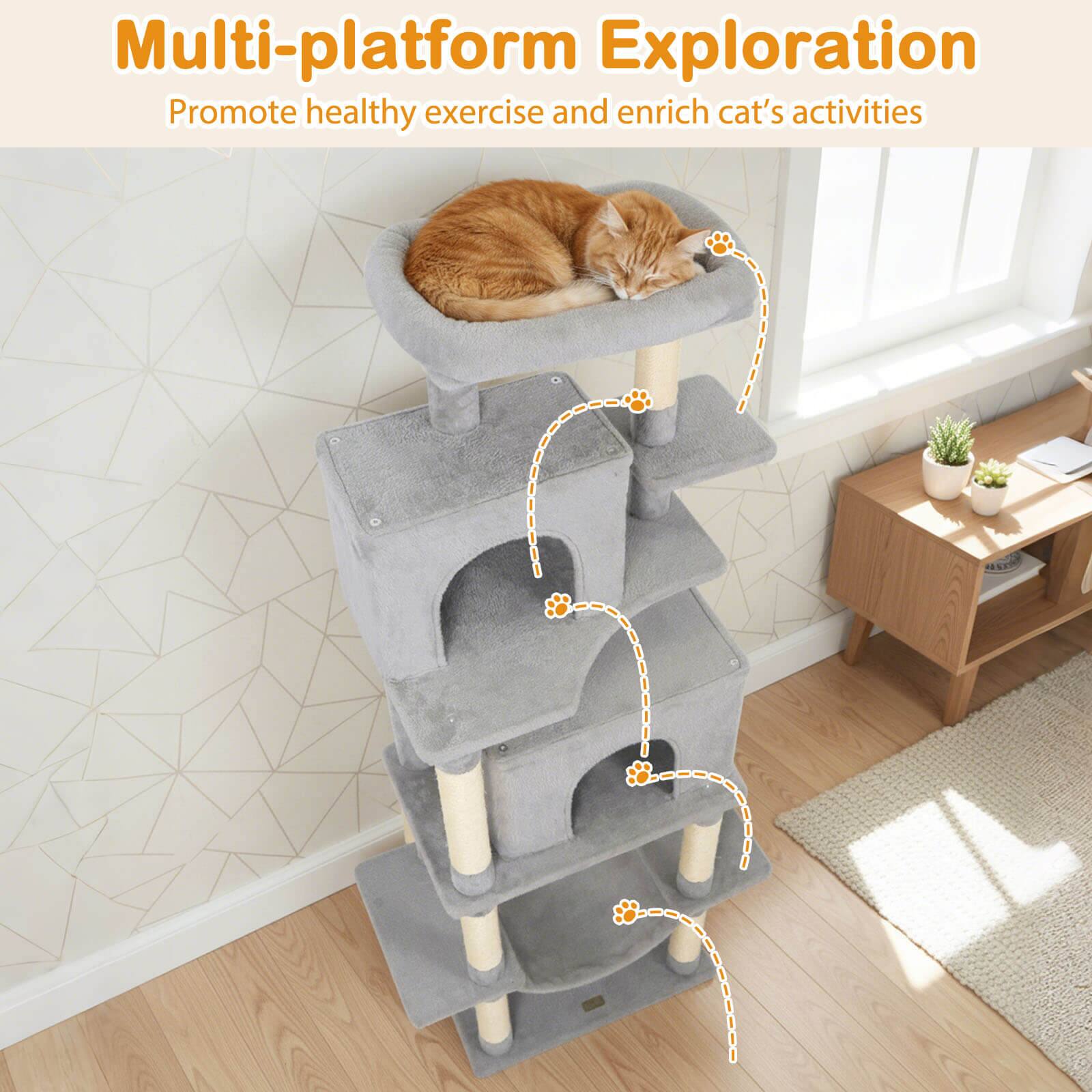 Multi-platform Exploration  
Promote healthy exercise and enrich cat's activities