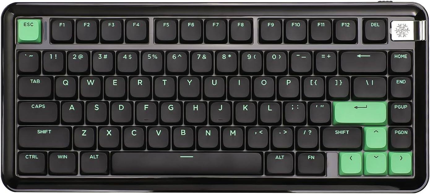 ESC F1 F2 F3 F4 F5 F6 F7 F8 F9 F10 F11 F12 DEL 1 ! 2 @ 3 # 4 $ 5 % 6 7 & 8 * 9 ( 0 ) - = + HOME TAB Q W E R T Y U I O P [ { ] } | END CAPS A S D F G H J K L ; : " PGUP SHIFT Z X C V B N M , < . > / SHIFT PGDN CTRL WIN ALT ALT FN