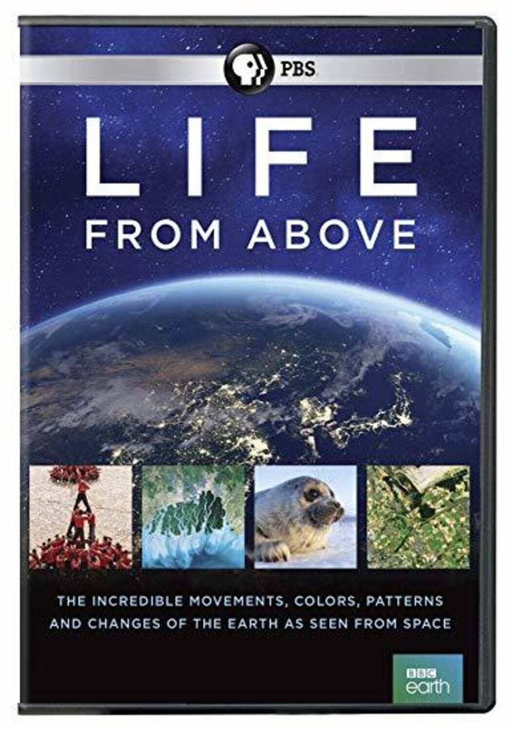 Life From Above  - DVD