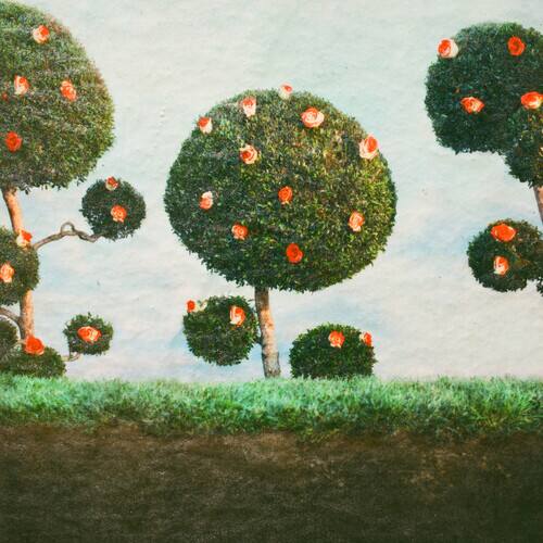 Front. Painting the Roses [LP].