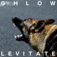 Levitate [LP] - VINYL - Front_Zoom