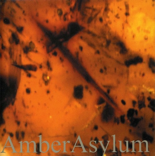 Amber Asylum - Frozen in Amber  - COMPACT DISCS
