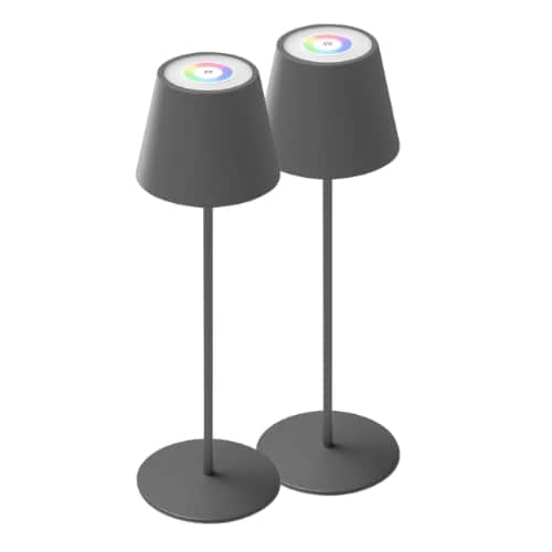 ONEWISH - 2-Pack Touch-Control Cordless LED Table Lamp with RGB Color – Holiday Décor, Gift for Family & Friends - Gray