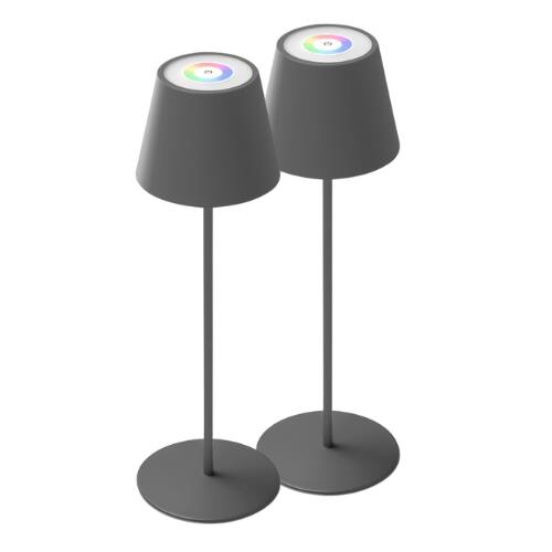 ONEWISH - 2-Pack Touch-Control Cordless LED Table Lamp with RGB Color – Holiday Décor, Gift for Family & Friends - Gray