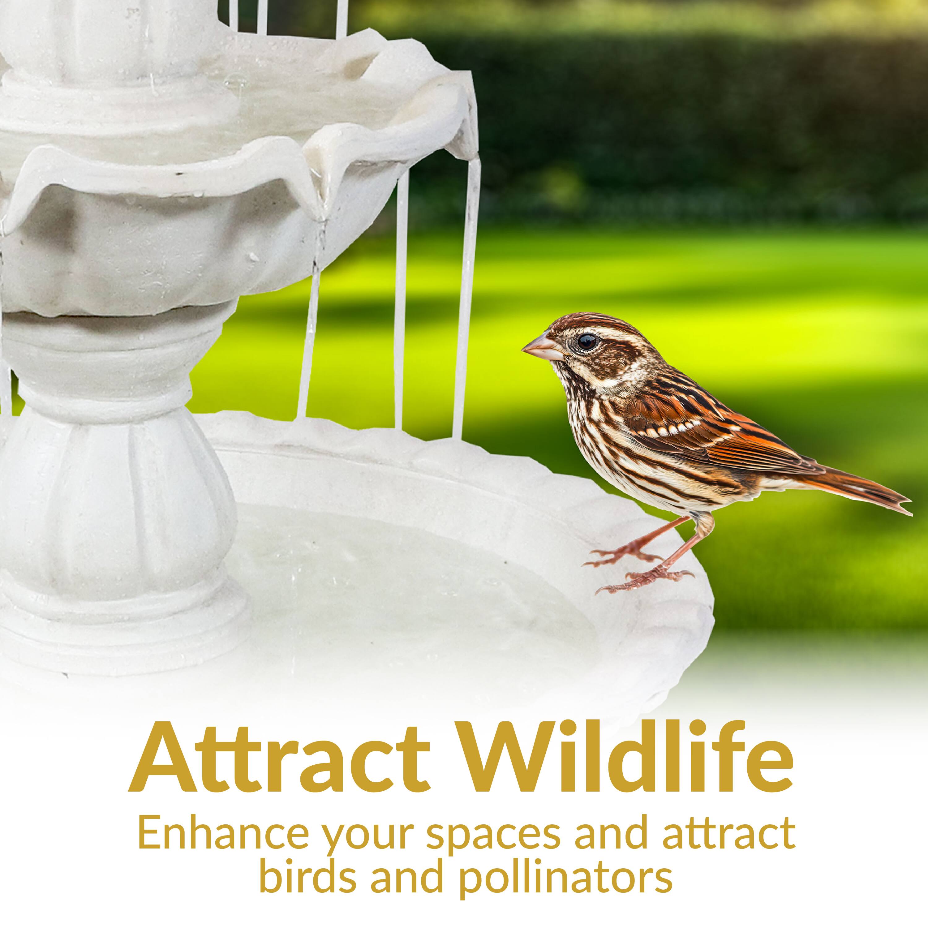 Attract Wildlife  
Enhance your spaces and attract birds and pollinators