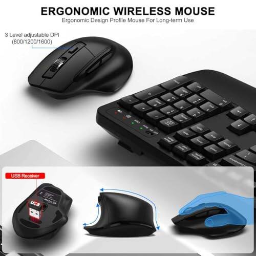 ERGONOMIC WIRELESS MOUSE  
Ergonomic Design Profile Mouse For Long-term Use  
3 Level adjustable DPI (800/1200/1600)  
USB Receiver