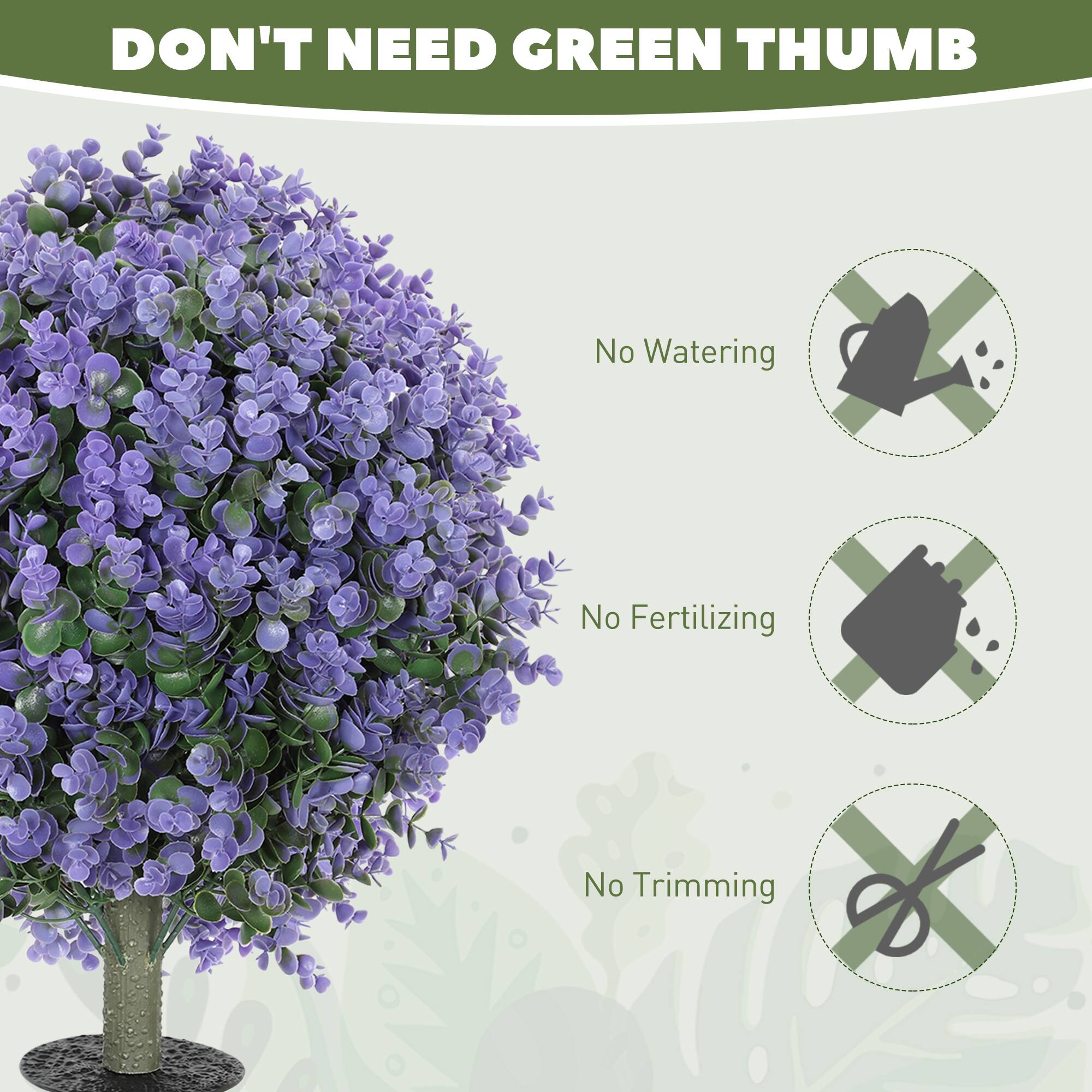 DON'T NEED GREEN THUMB

No Watering  
No Fertilizing  
No Trimming