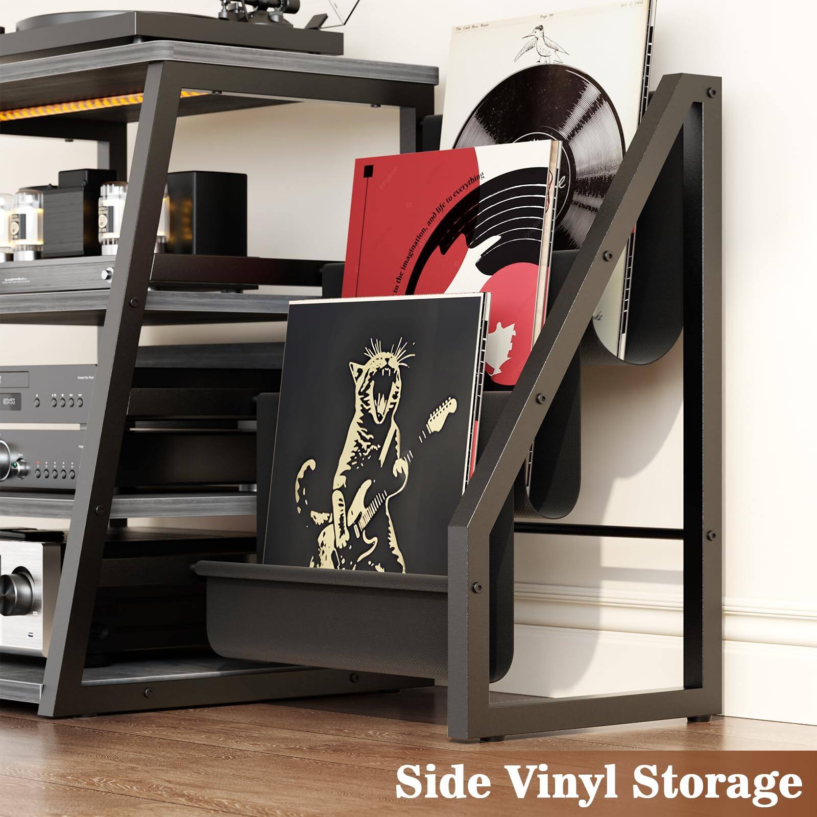 Side Vinyl Storage