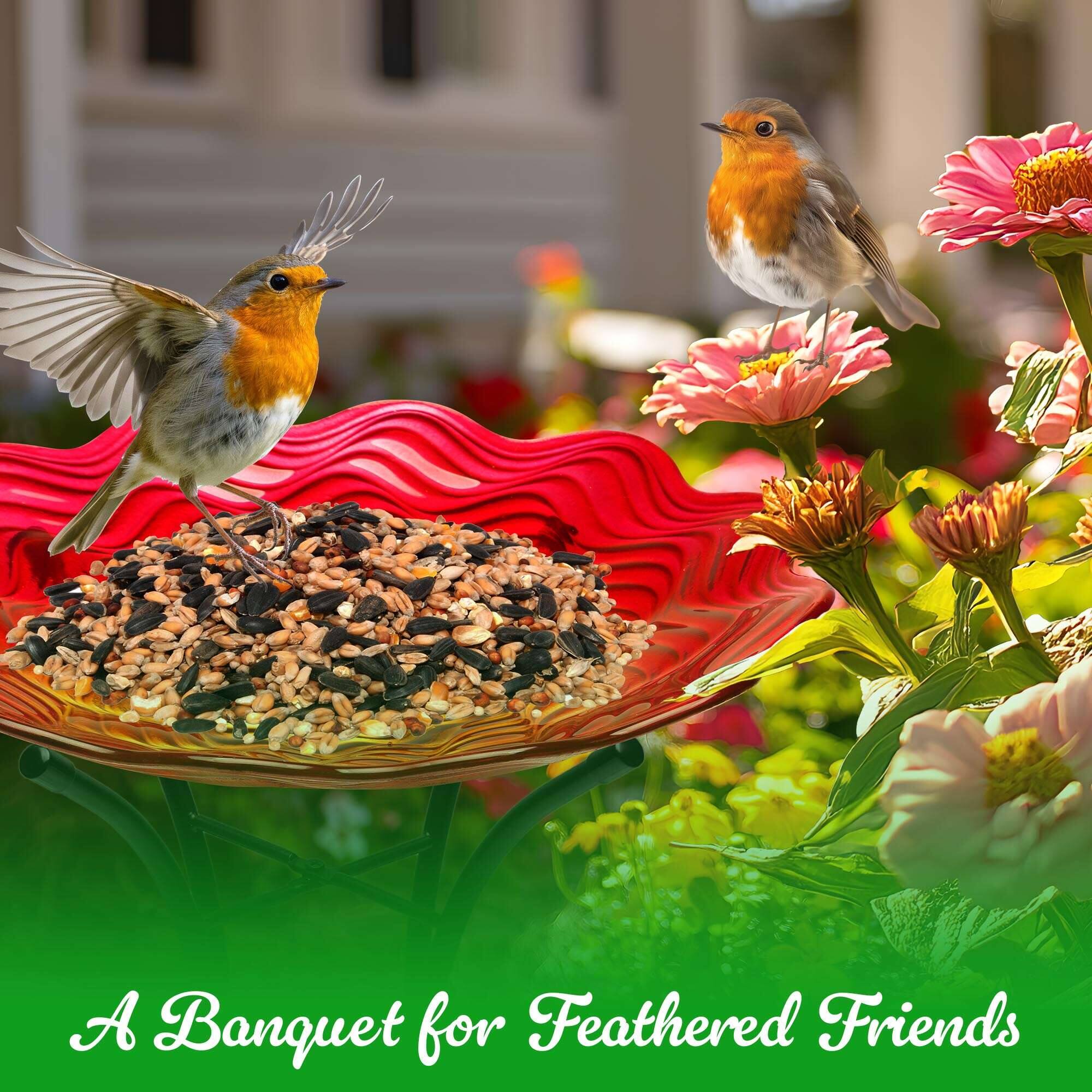 A Banquet for Feathered Friends