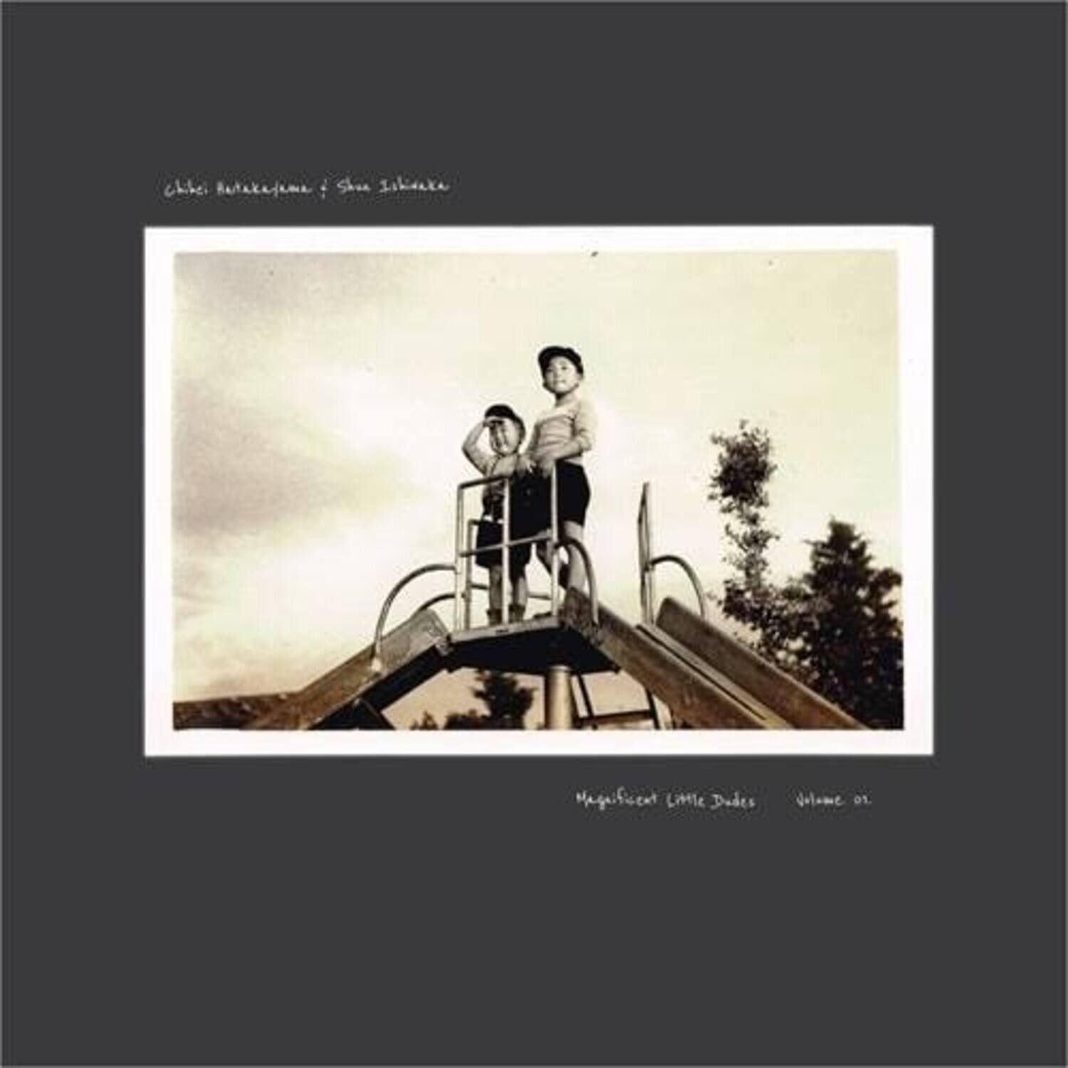 Chihei Hatakeyama - Magnificent Little Dudes Vol.1   - COMPACT DISCS [CD] price history on PriceWatchPro
