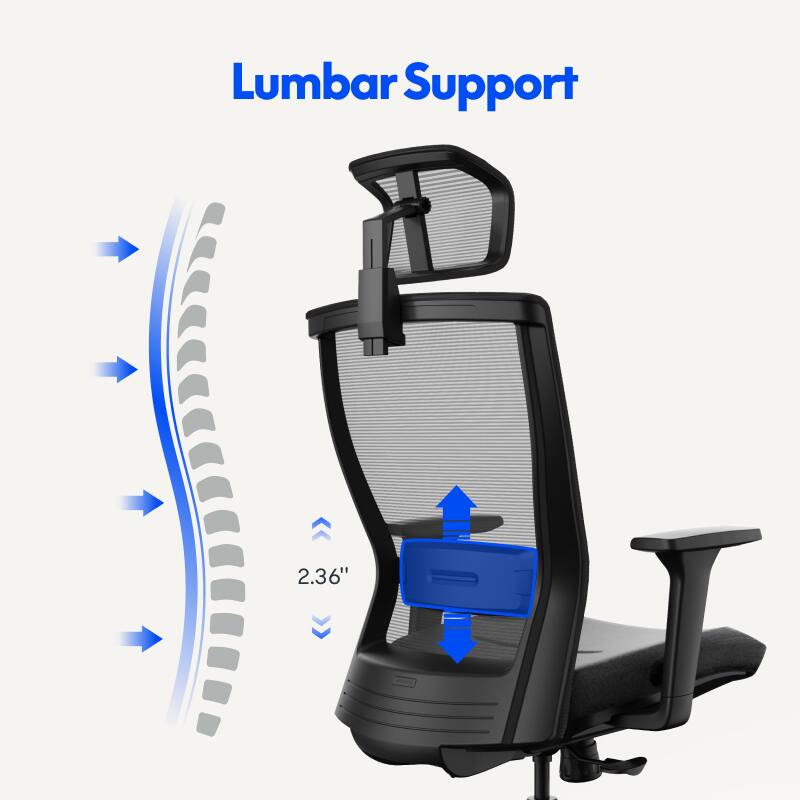 Lumbar Support 2.36"