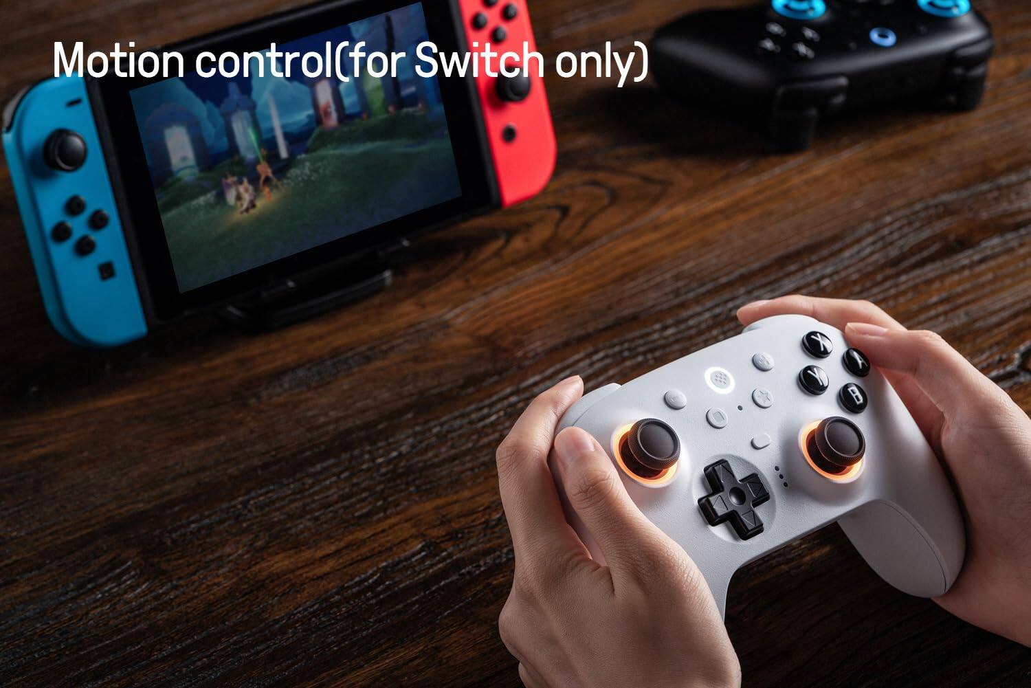Motion control (for Switch only)