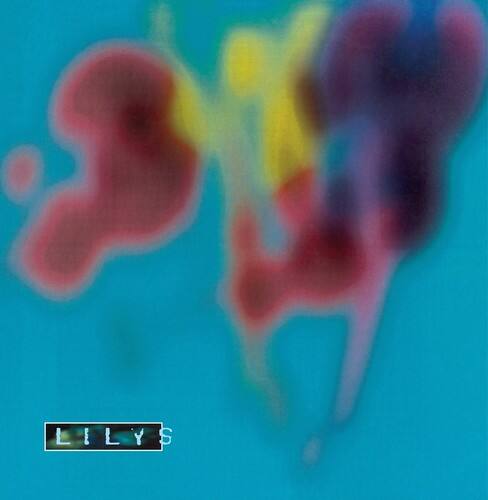 Front. Lilys - Eccsame the Photon Band   - VINYL LP.