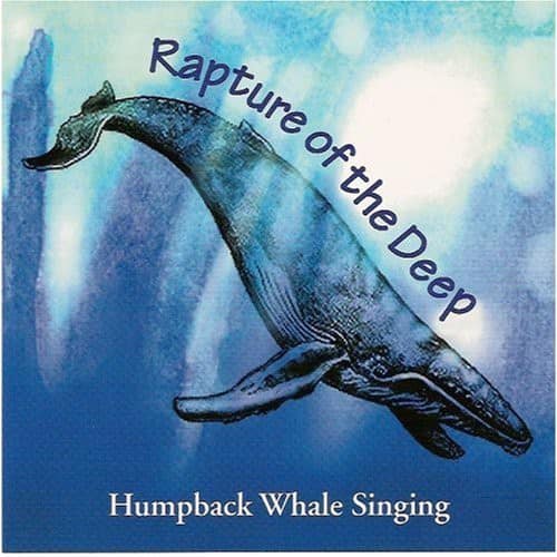 Paul Knapp Jr. - Rapture of the Deep-Humpback Whale Singing   - COMPACT DISCS [CD] price history on PriceWatchPro