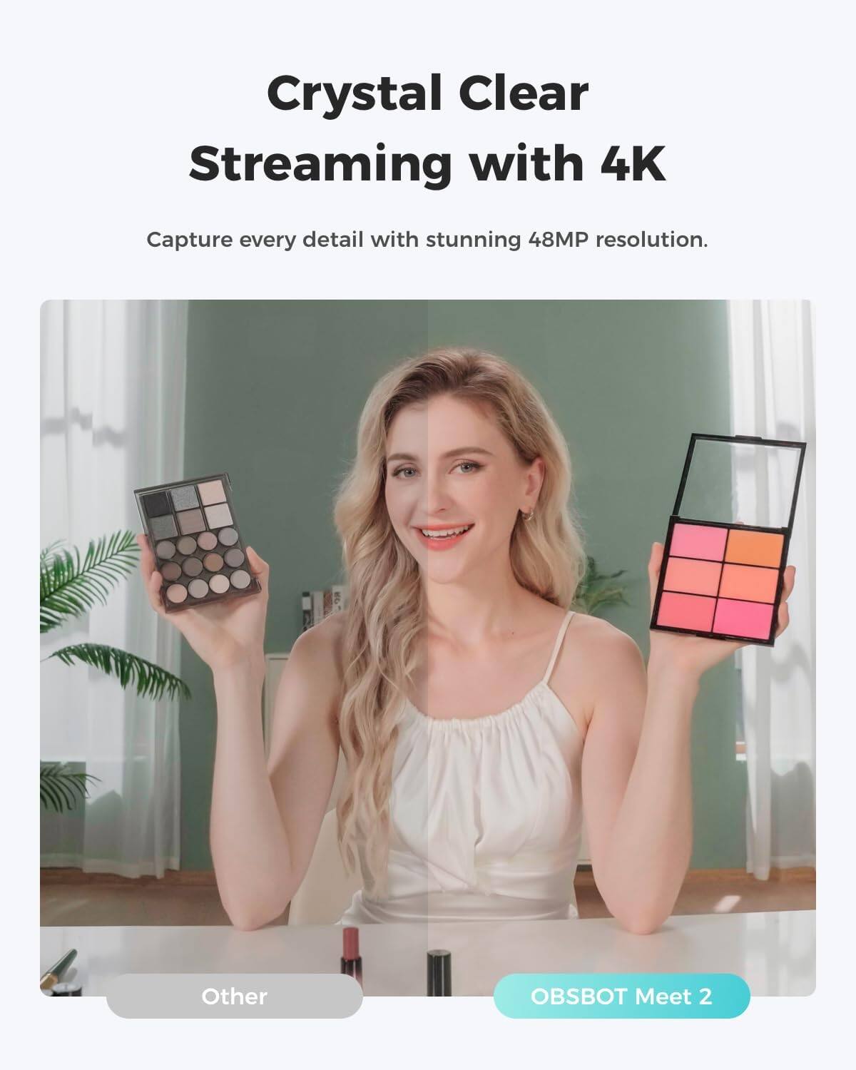 Crystal Clear Streaming with 4K  
Capture every detail with stunning 48MP resolution.  

Other  
OBSBOT Meet 2
