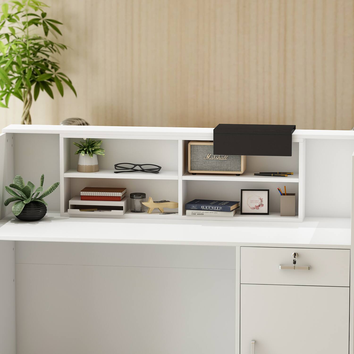 The text on the image is "Marshall".