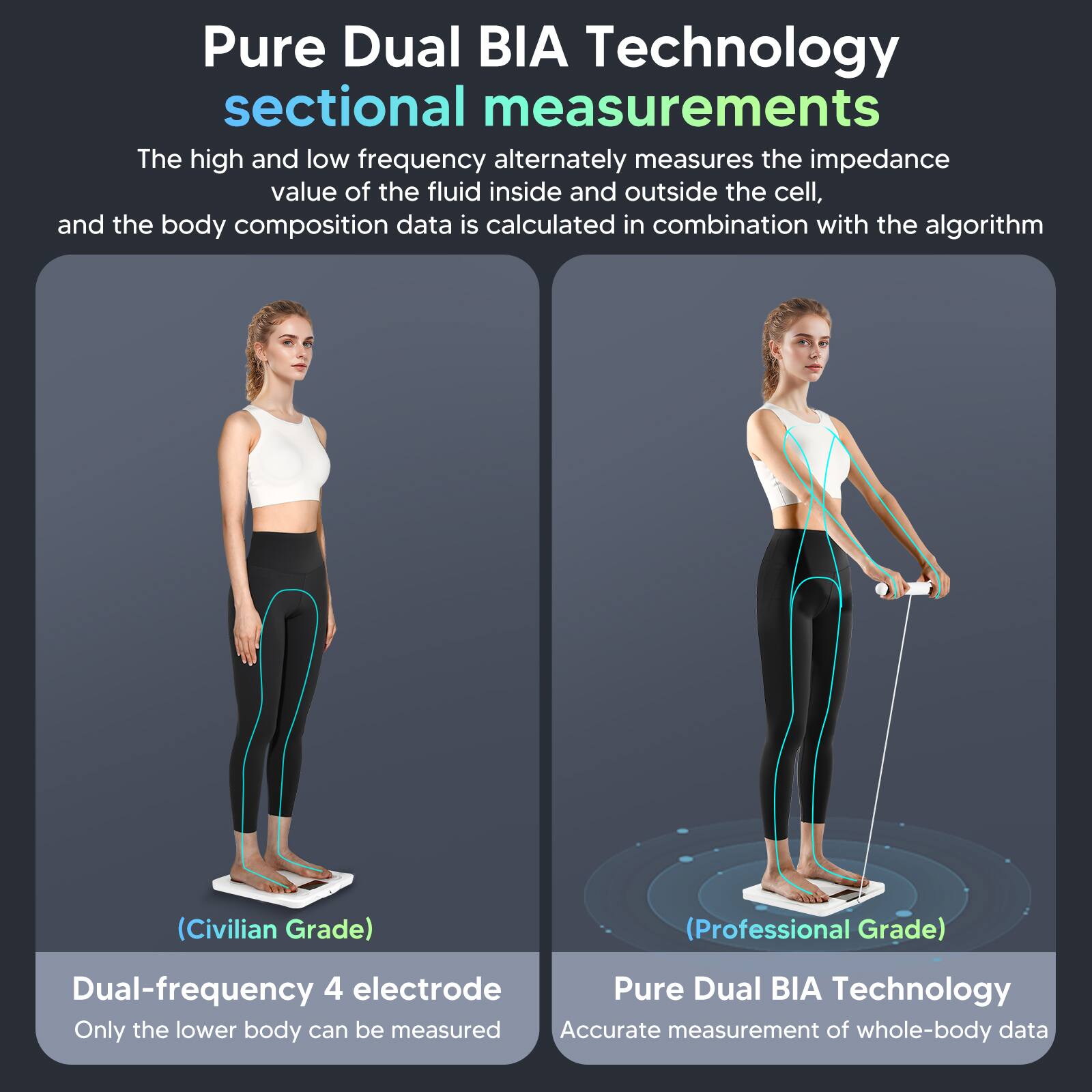 Pure Dual BIA Technology sectional measurements: The high and low frequency alternately measures the impedance value of the fluid inside and outside the cell, and the body composition data is calculated in combination with the algorithm (Civilian Grade) (Professional Grade). Dual-frequency 4 electrode Pure Dual BIA Technology: Only the lower body can be measured. Accurate measurement of whole-body data.