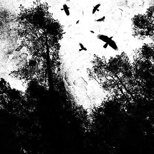 Autumn's Dawn - Gone   - COMPACT DISCS [CD] price history on PriceWatchPro