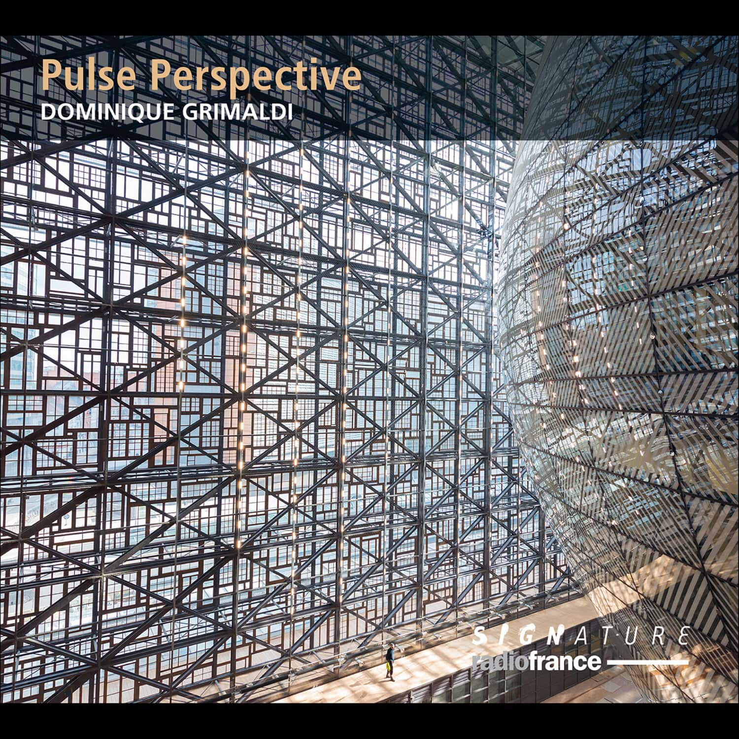 Collard-Neven Grimaldi Pion Sicart - Pulse Perspective  - COMPACT DISCS