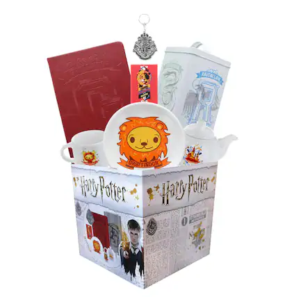 Ravenclaw
Slytherin
Gryffindor
Harry Potter
Activities