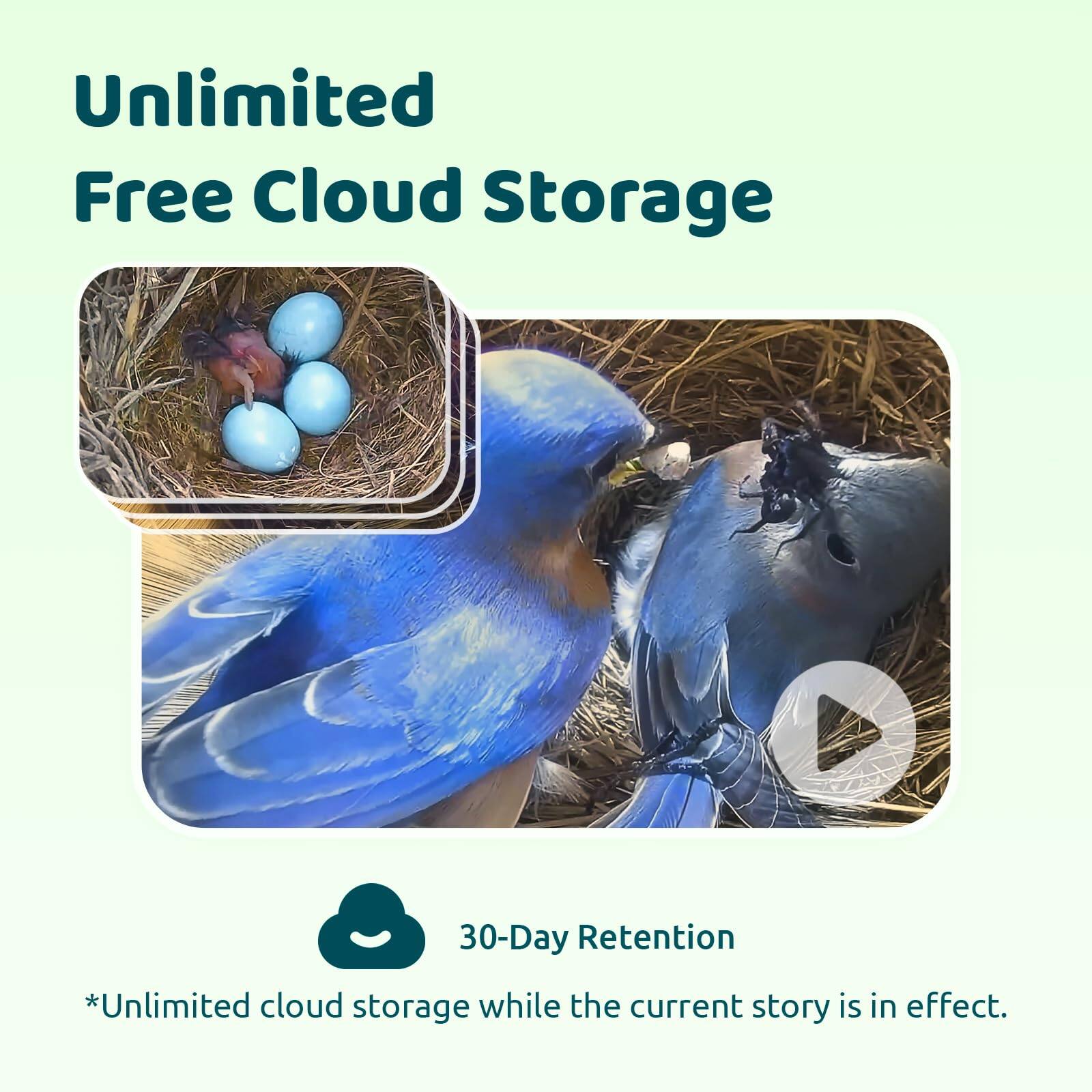 Unlimited Free Cloud Storage

30-Day Retention

*Unlimited cloud storage while the current story is in effect.