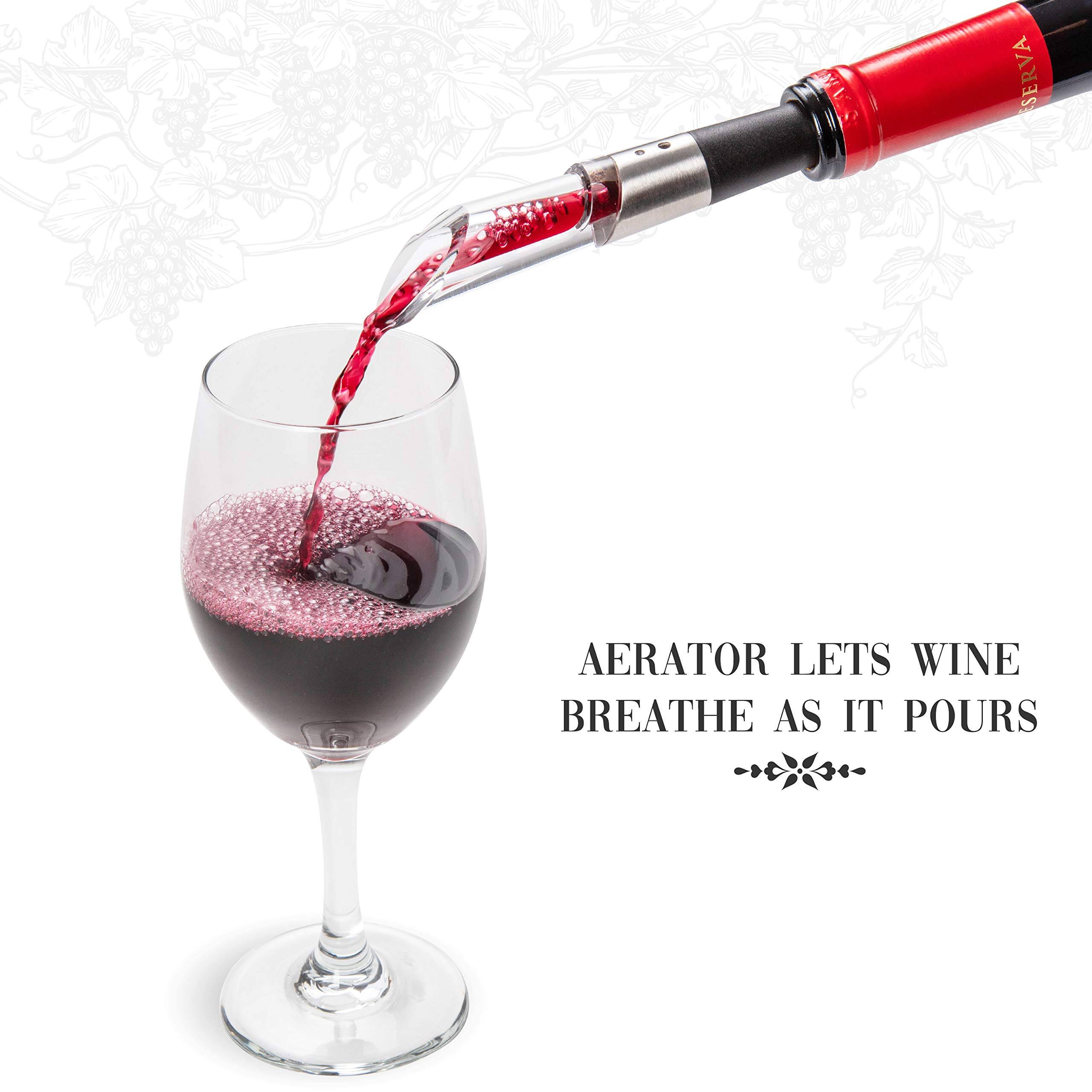 SERVA AERATOR LETS WINE BREATHE AS IT POURS