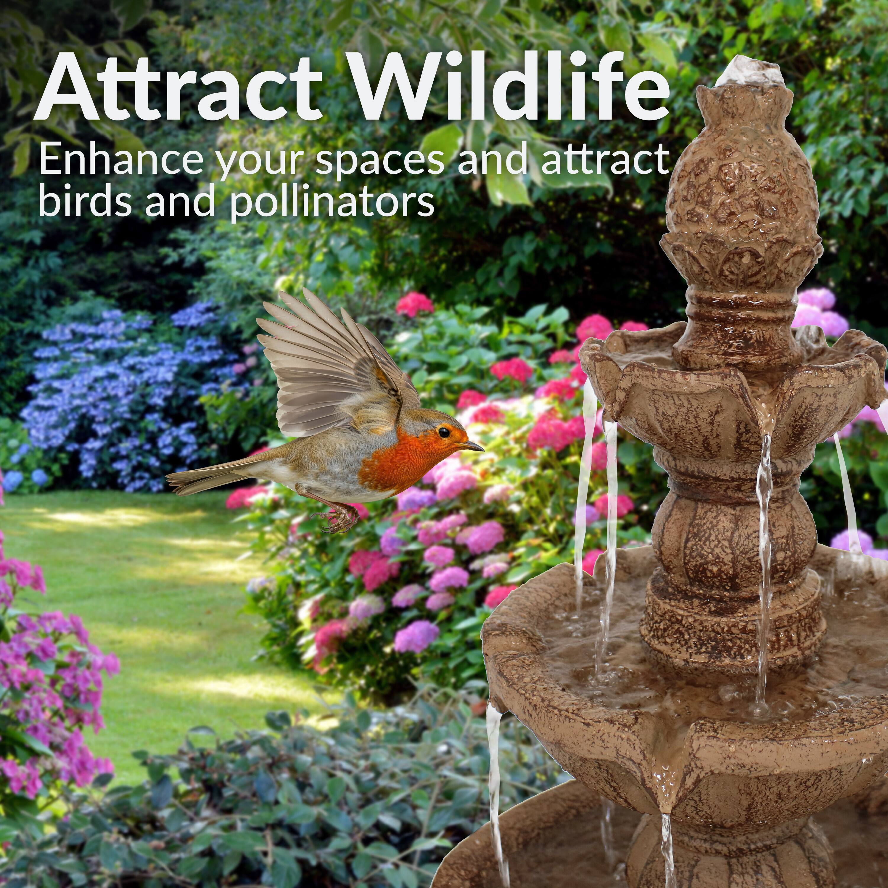 Attract Wildlife  
Enhance your spaces and attract birds and pollinators
