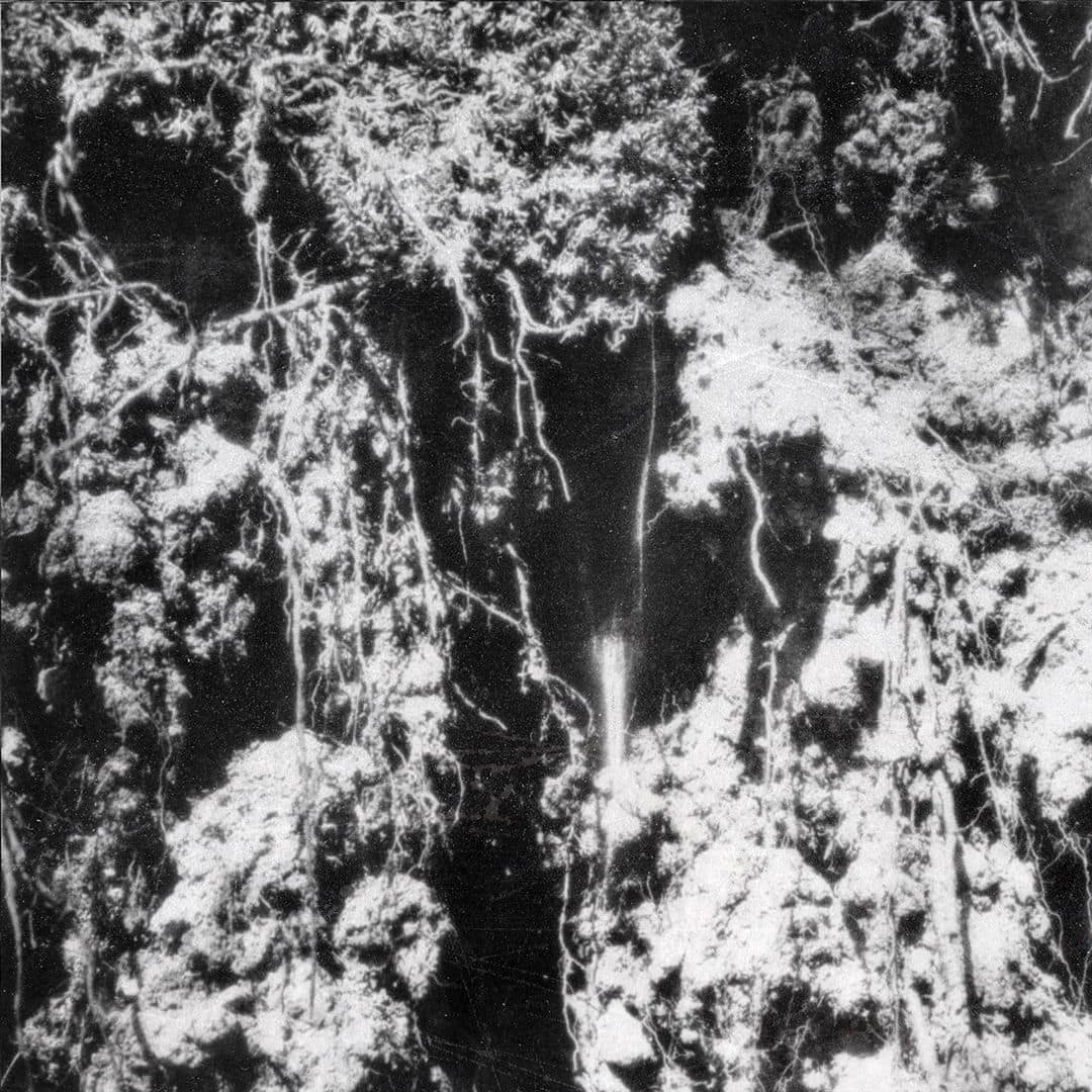 Den Sorte Død [LP] [VINYL]