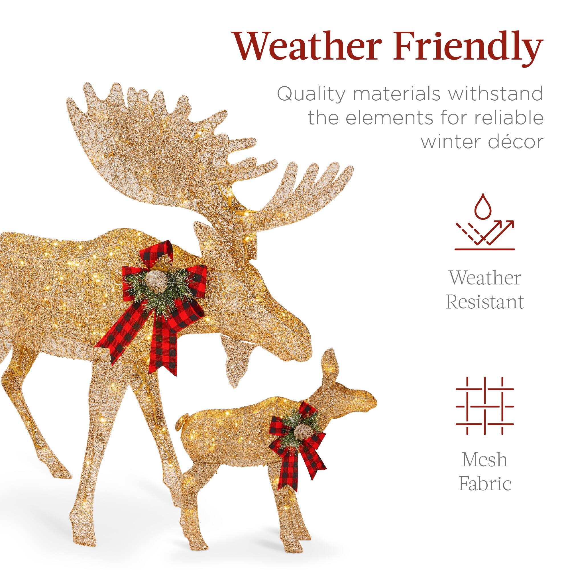 Weather Friendly

Quality materials withstand the elements for reliable winter décor

Weather Resistant

Mesh Fabric