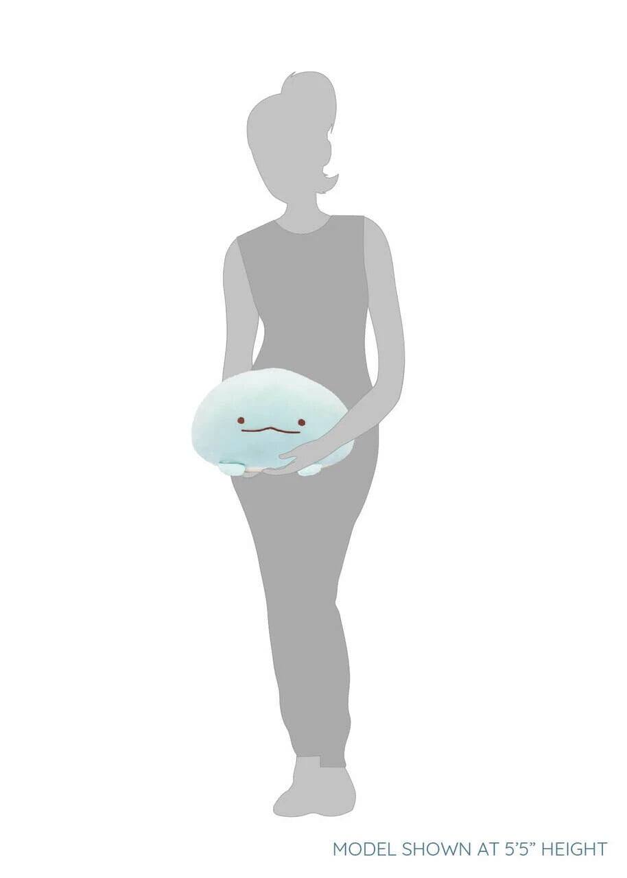 MODEL SHOWN AT 5'5" HEIGHT