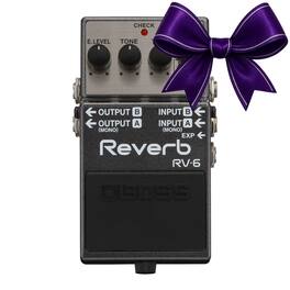 BOSS - RV-6 Compact Eight Reverb Effect 100 Percent Wet Sound Digital Reverb Pedal