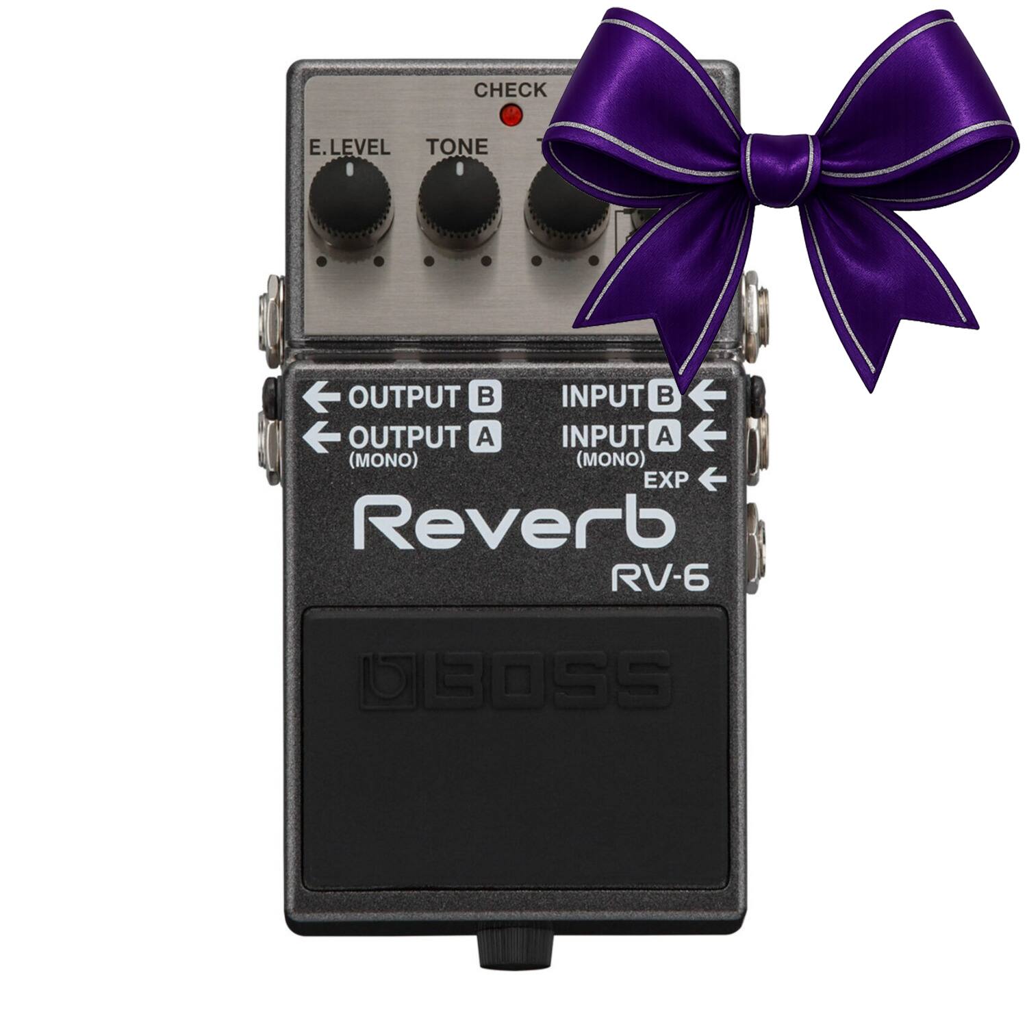 CHECK  
E.LEVEL TONE  
OUTPUT B OUTPUT A (MONO)  
INPUT B INPUT A (MONO) EXP  
Reverb RV-6  
BOSS