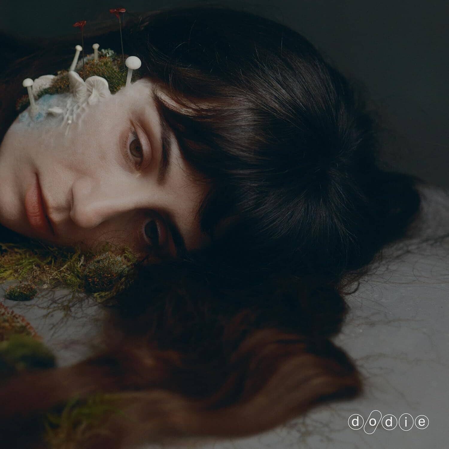 Dodie - Not For Lack Of Trying   - COMPACT DISCS [CD] price history on PriceWatchPro