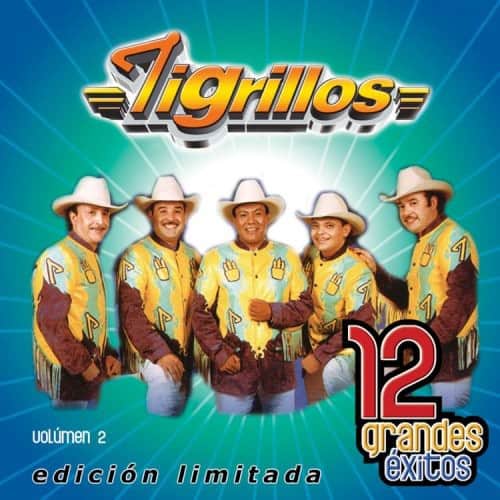 Los Tigrillos - Vol. 2-12 Grandes Exitos   - COMPACT DISCS [CD] price history on PriceWatchPro