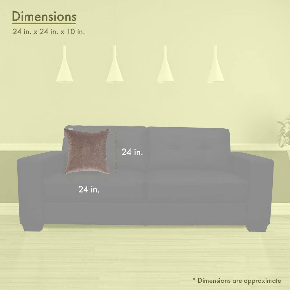 Dimensions  
24 in. x 24 in. x 10 in.  

24 in.  
24 in.  

* Dimensions are approximate