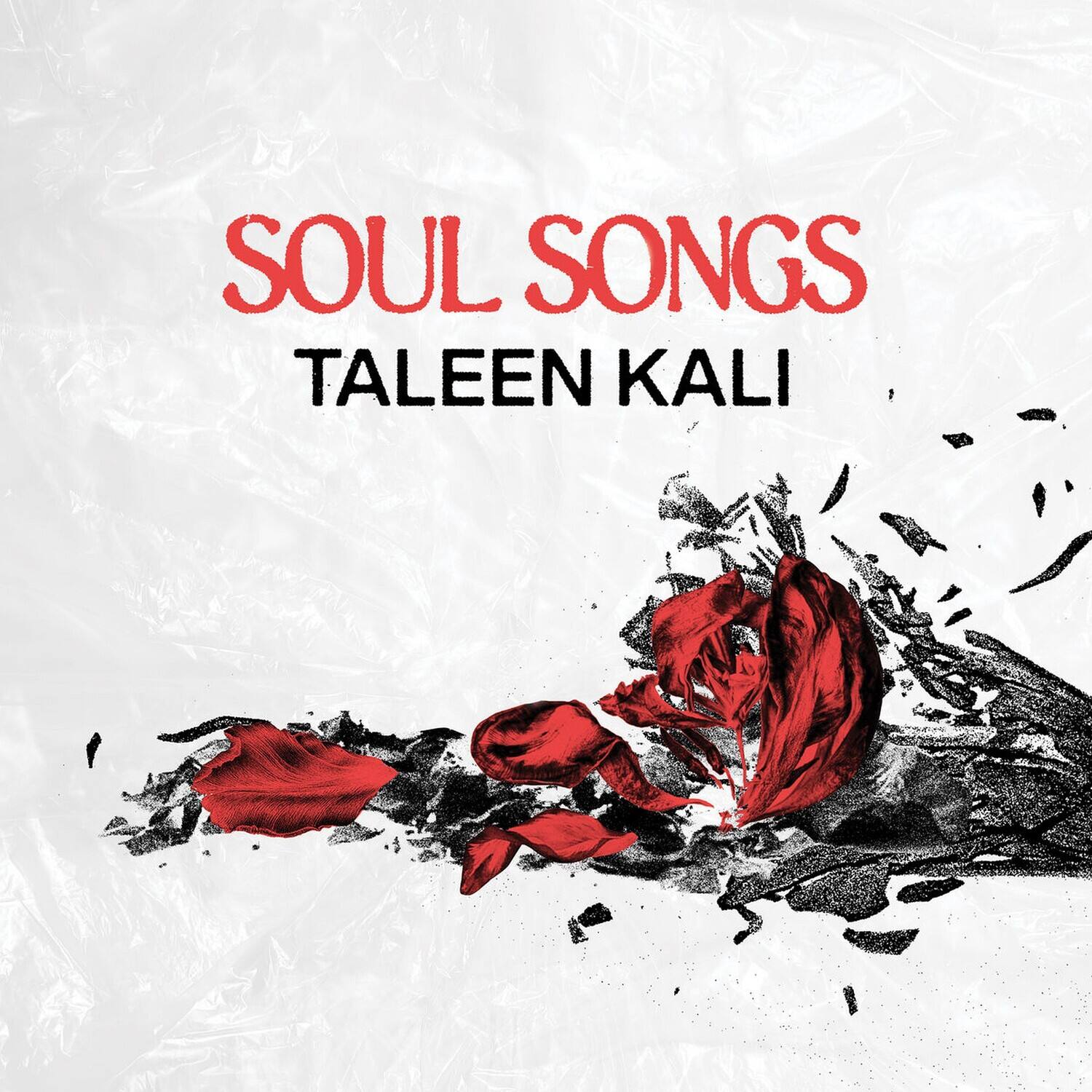 SOUL SONGS  
TALEEN KALI