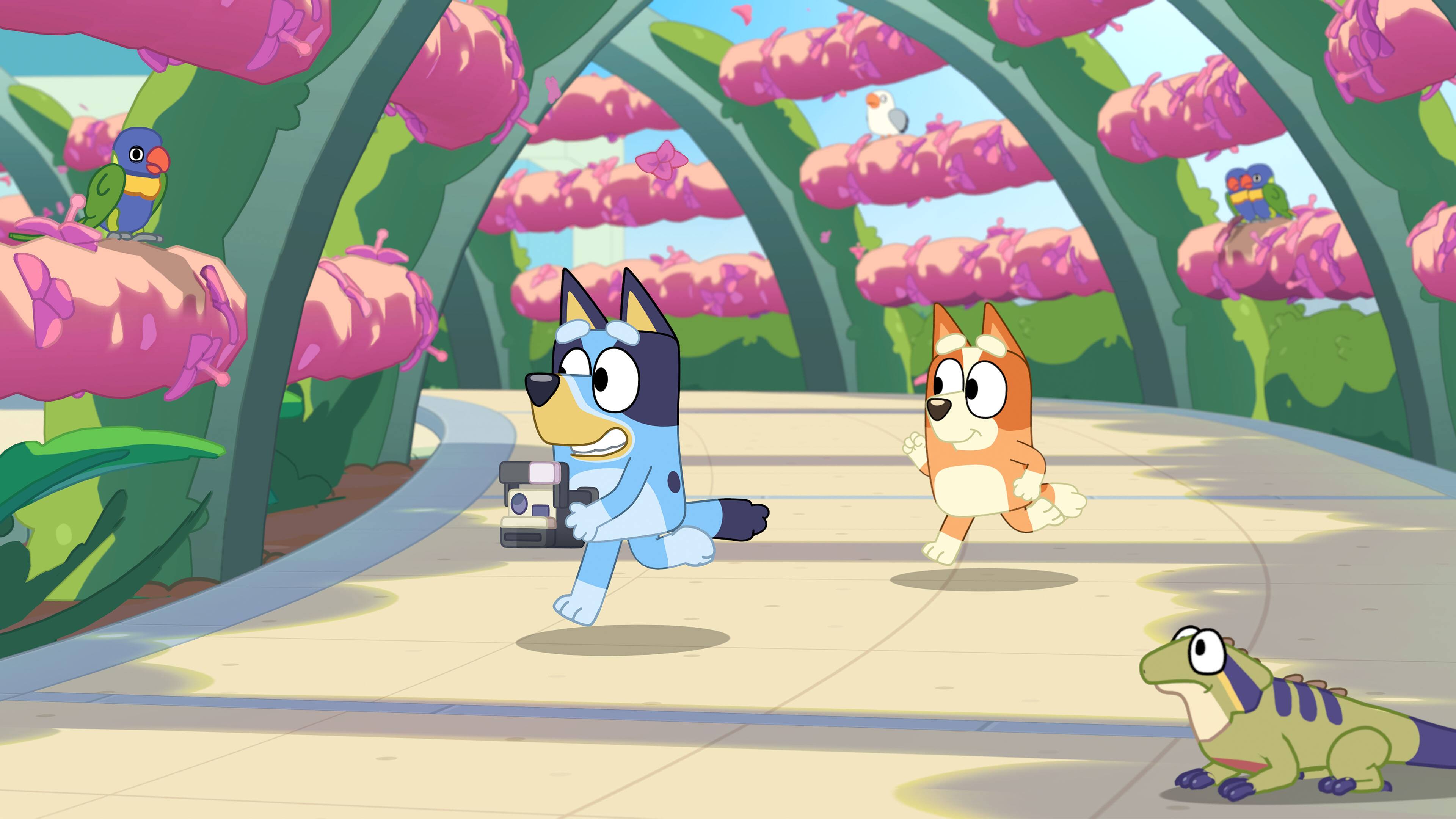 Angle. BANDAI NAMCO Entertainment - Bluey's Happy Snaps.