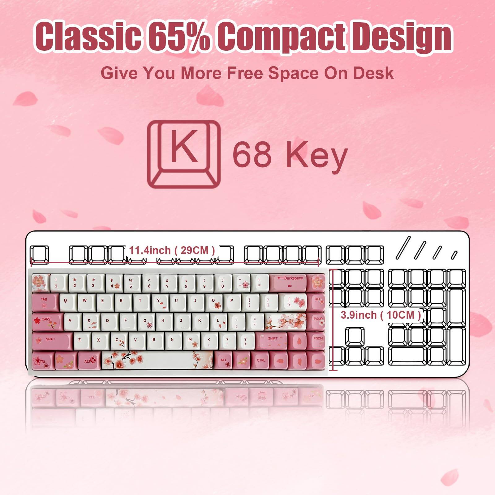 Classic 65% Compact Design  
Give You More Free Space On Desk  

68 Key  

11.4inch (29CM)  

3.9inch (10CM)