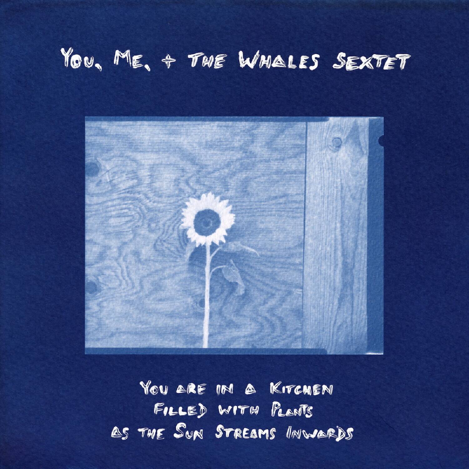 You, Me, + the Whales Sextet - You are in a Kitchen Filled with Plants as the Sun Streams Inwards   - VINYL LP price history on PriceWatchPro