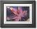 Alt View Standard 1. Westinghouse - 14" LCD Digital Photo Frame.