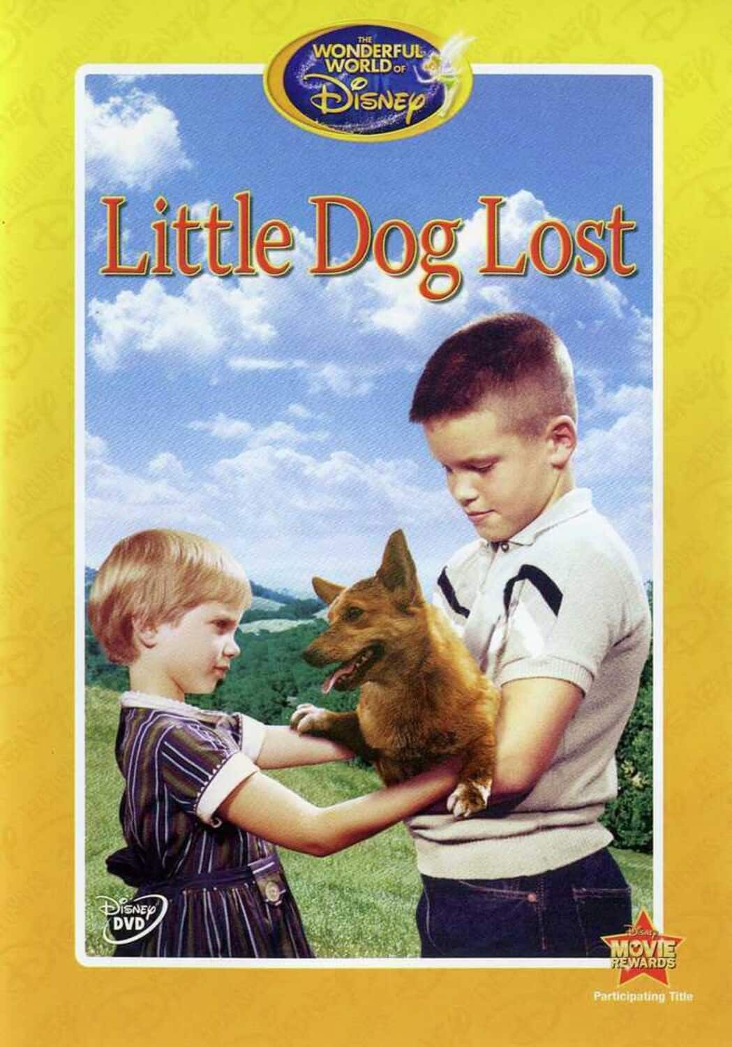 Little Dog Lost  - DVD