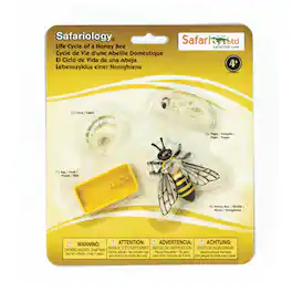 Safari Ltd. - Life Cycle Of A Honey Bee Toy