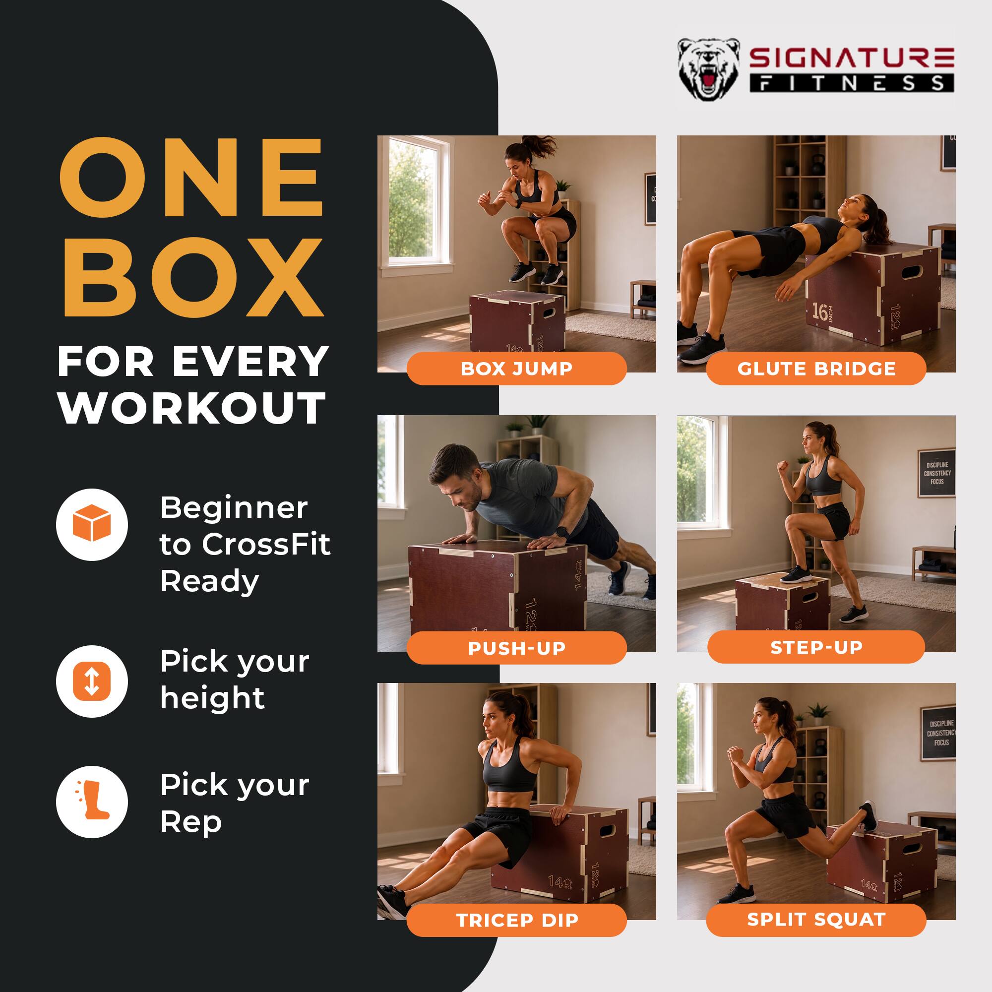 ONE BOX FOR EVERY WORKOUT

BOX JUMP
GLUTE BRIDGE

Beginner to CrossFit Ready

Pick your height

PUSH-UP
STEP-UP

Pick your Rep

TRICEP DIP
SPLIT SQUAT
