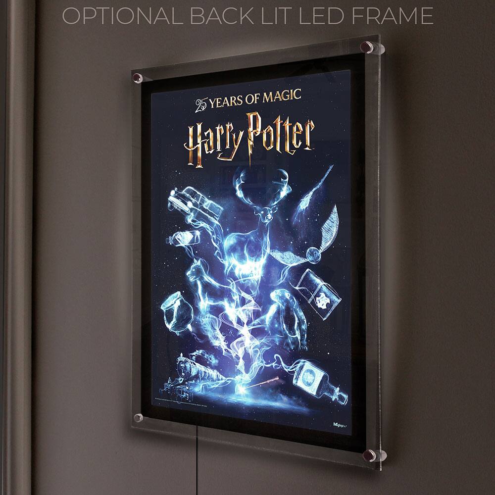 OPTIONAL BACK LIT LED FRAME

25 YEARS OF MAGIC

Harry Potter