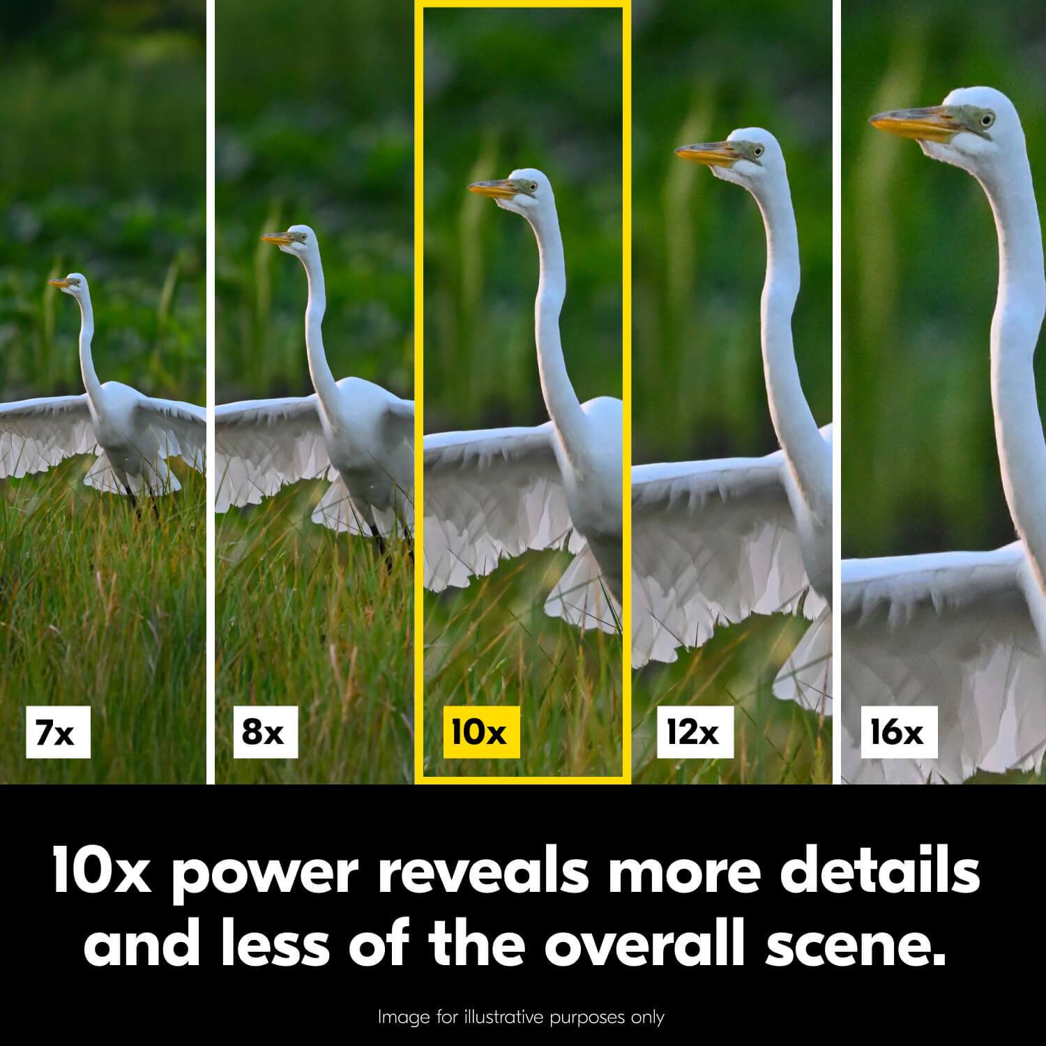 7x 8x 10x 12x 16x

10x power reveals more details and less of the overall scene.

Image for illustrative purposes only